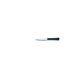 Paring knife pointed blade