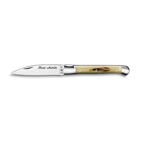 Pocket knives Saint Martin knife