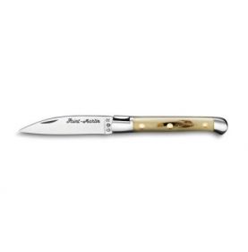 Pocket knives Saint Martin knife