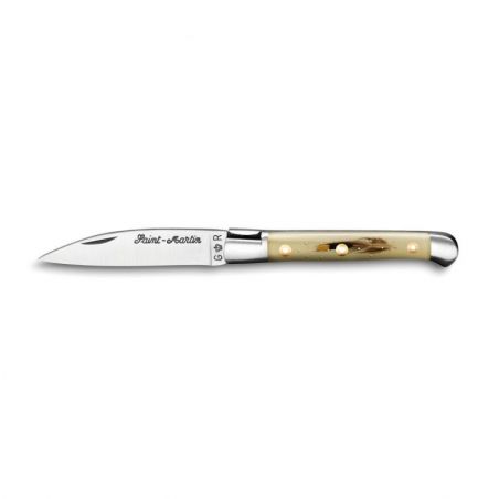 Pocket knives Saint Martin knife