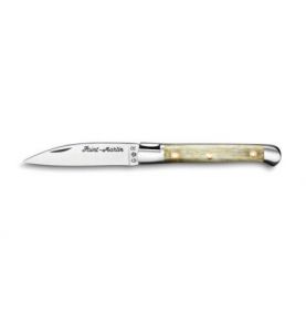 Pocket knives Saint Martin knife