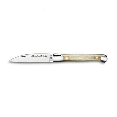 Pocket knives Saint Martin knife