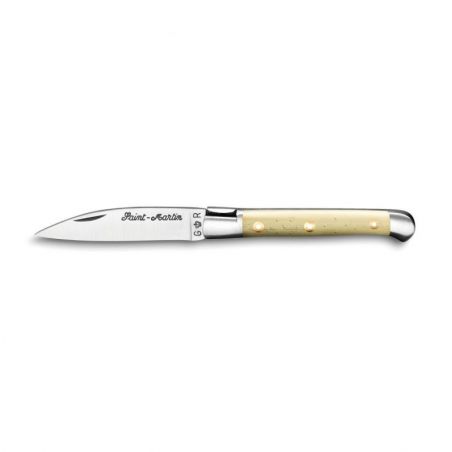 Pocket knives Saint Martin knife