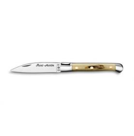 Pocket knives Saint Martin knife
