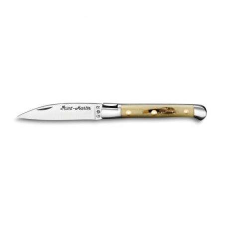 Pocket knives Saint Martin knife