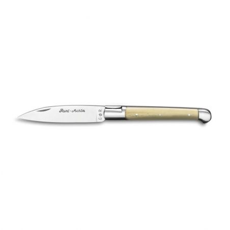 Pocket knives Saint Martin knife