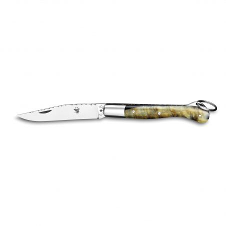 Pocket knives Salers knife