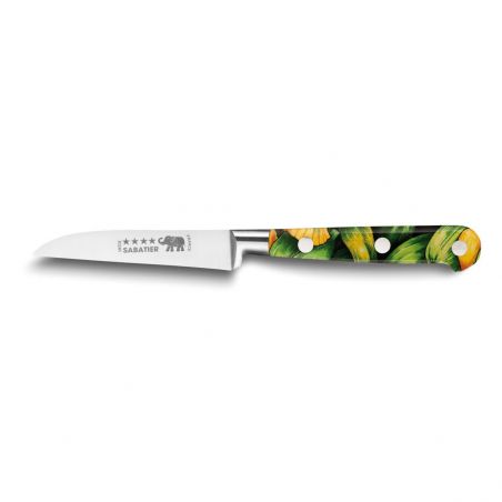 Professional knives SABATIER**** Ideal stylet knife