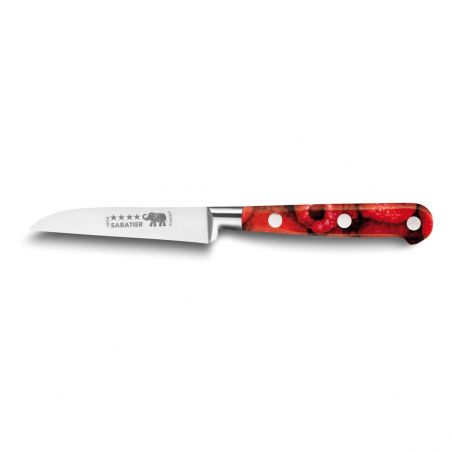 Professional knives SABATIER**** Ideal stylet knife