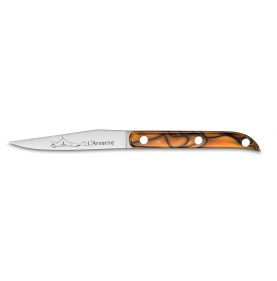 Professional knives SABATIER**** Beech Arvern Block