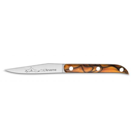 Professional knives SABATIER**** Beech Arvern Block