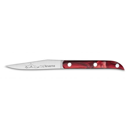 Professional knives SABATIER**** Beech Arvern Block