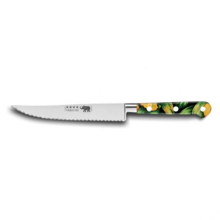 Professional knives SABATIER**** Couteau Steak