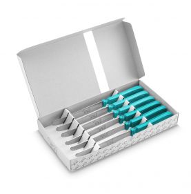 Chien ® CHIEN® HANDLE blue lagoon X 6 in printed white box