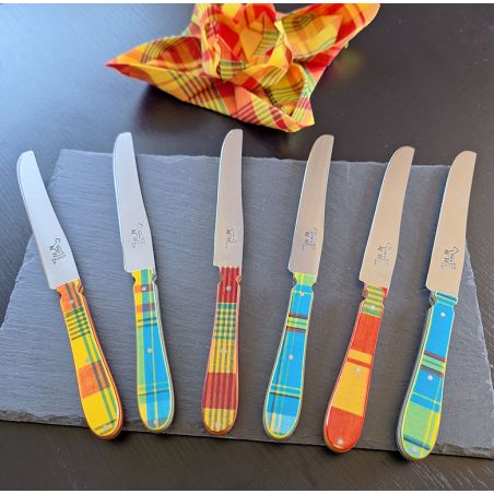 NEW copy of 6 CHIEN® knife with multicolored handle in white carton box