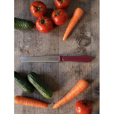 Chien ® CHIEN® LE MORDANT micro-tooth maaroon handle