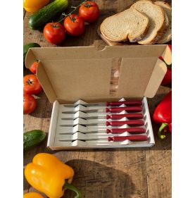 Chien ® CHIEN® RED HANDLE X 6 in printed white box