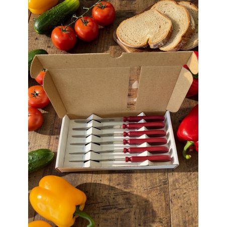 Chien ® CHIEN® RED HANDLE X 6 in printed white box