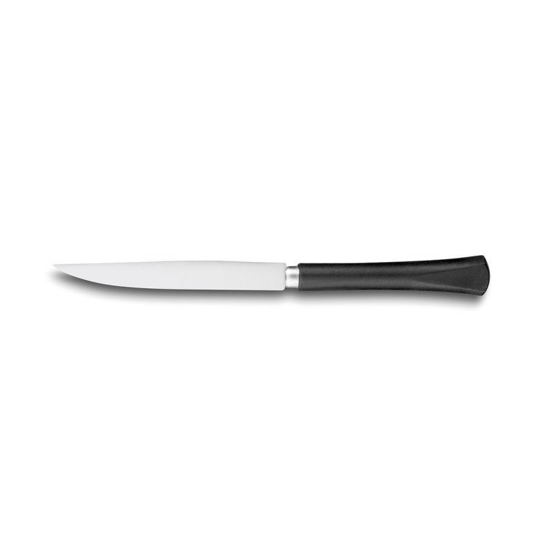 Professional knives SABATIER**** Steak Knife
